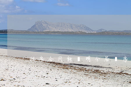租房合同能證明分居嗎(房屋分租證明怎么寫)
