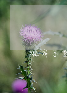 租房子需要注意什么問題