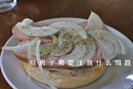租房子需要注意什么問題(租房需要注意什么)