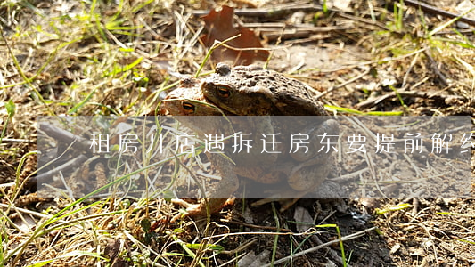 租房开店遇拆迁,房东要提前解约怎么办