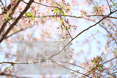 租房房東私人物品不拿走（租房合同逾期處理私人物品）