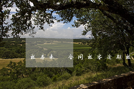 租房未簽合同租客逾期(租客逾期不交房租)