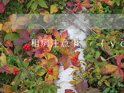 租房注意事項(業(yè)主租房注意事項)