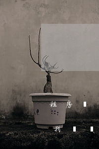 租房發(fā)生了糾紛應(yīng)該找誰處理(租住房糾紛該找誰)