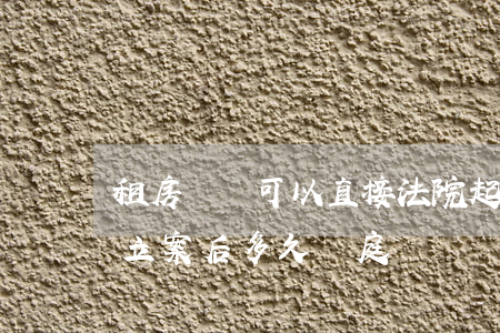 租房糾紛可以直接法院起訴嗎(租房糾紛起訴立案后多久開庭)