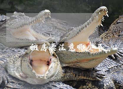 租房要注意哪些事項