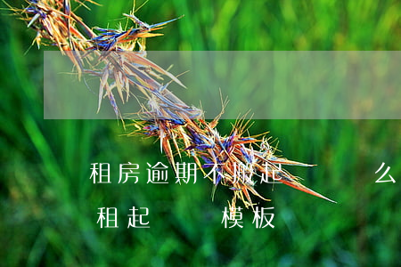 租房逾期不搬起訴書這么寫模版(租店不交房租起訴書模板)