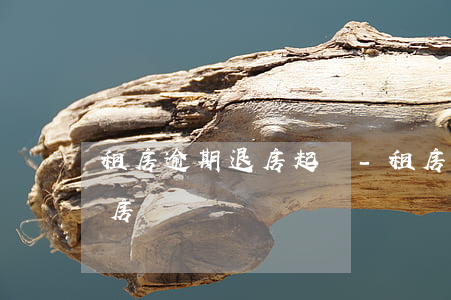租房逾期退房起訴-租房因噪音起訴成功退房