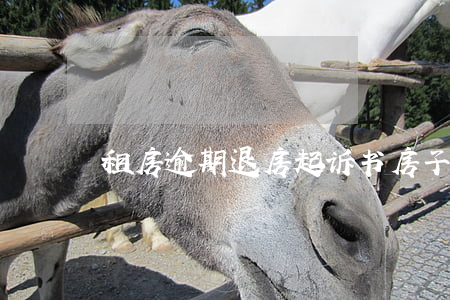 租房逾期退房起诉书(房子退租申请书)