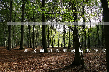 租房違約告知函模板(拖欠房租告知函)