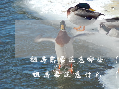 租房需要注意哪些細(xì)節(jié)(租房要注意什么細(xì)節(jié))