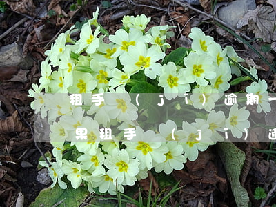 租手機(jī)逾期一個(gè)月什么后果（租手機(jī)逾期幾天被起訴）