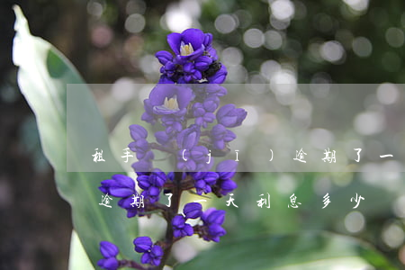 租手機(jī)逾期了一天(租手機(jī)逾期了一天利息多少)