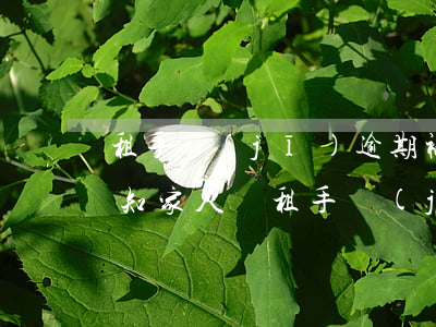 租手機(jī)逾期被起訴會(huì)通知家人嗎(租手機(jī)逾期會(huì)不會(huì)上門來找)