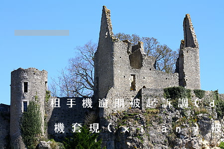 租手機逾期被起訴調(diào)解-租手機套現(xiàn)被起訴