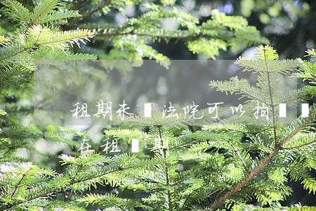 租期未滿法院可以拍賣嗎(法院拍賣的房子還在租賃期)