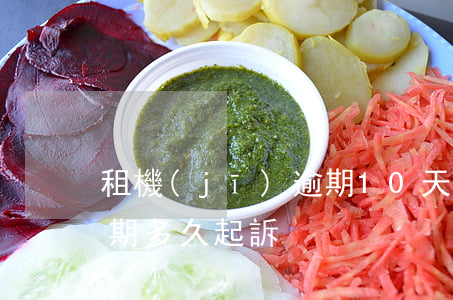 租機(jī)逾期10天-租機(jī)逾期多久起訴