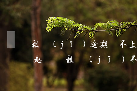 租機(jī)逾期還不上錢會(huì)被起訴嗎(租機(jī)不還會(huì)怎么樣)