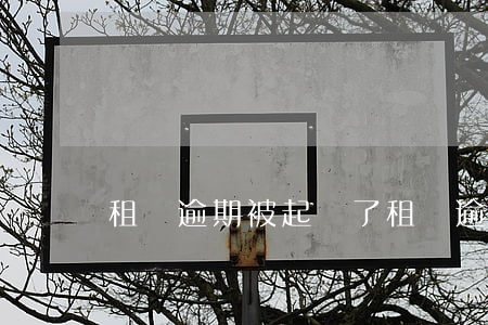 租機逾期被起訴了(租機逾期一年)