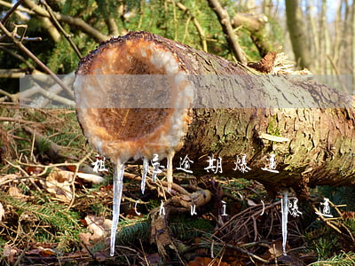 租無忌逾期爆通訊錄嗎6(租機(jī)逾期會(huì)爆通訊錄嗎)