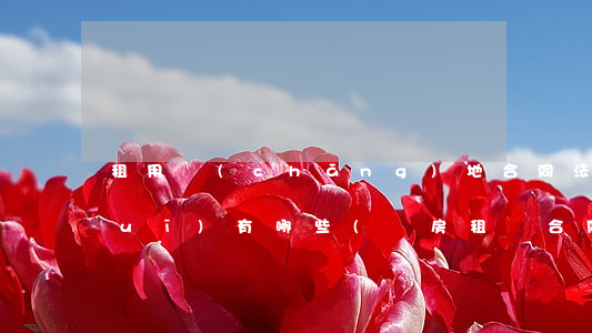 租用場(chǎng)地合同法律法規(guī)有哪些(廠房租賃合同法律法規(guī)有哪些)