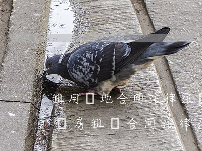 租用場地合同法律法規(guī)有哪些(廠房租賃合同法律法規(guī)有哪些)