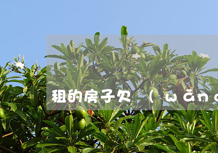 租的房子欠網(wǎng)貸