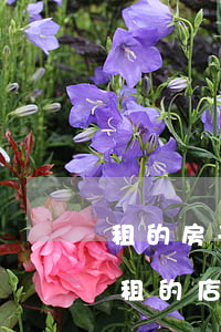 租的房子開(kāi)的店法院可以查封嗎(租的店面被法院查封)