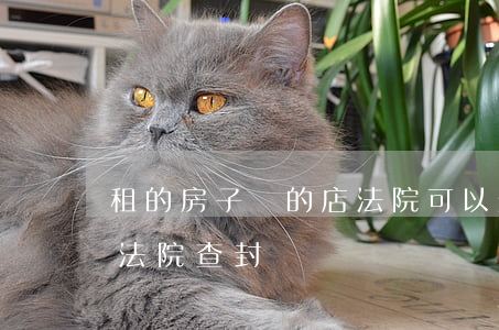 租的房子開的店法院可以查封嗎(租的店面被法院查封)