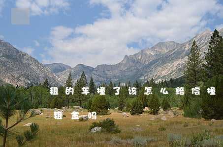 租的车撞了该怎么赔偿(撞了租的车需要赔偿租金吗)