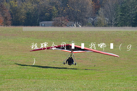 租聘合同糾紛找哪個(gè)部門(mén)