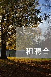 租聘合同糾紛找哪個(gè)部門
