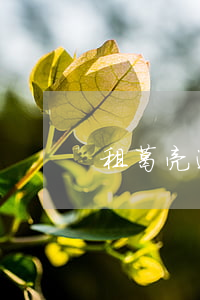 租葛亮逾期上門(租葛亮不還會怎么樣)