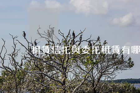 租賃信托與委托租賃有哪些異同