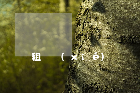 租賃協(xié)議