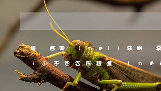 租賃合同內(nèi)注明開票稅費(fèi)不包含在租金內(nèi)合法嗎