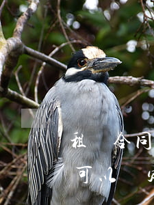 租賃合同可以約定起訴法院嗎(房屋租賃合同可以約定管轄法院嗎)