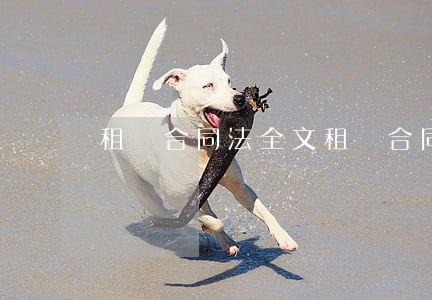 租賃合同法全文(租賃合同的法律條文) 租賃合同法全文(租賃合同的法律條文)