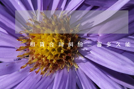 租賃合同糾紛二審多久能開(kāi)庭