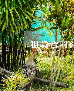租賃合同糾紛如何維權(quán)