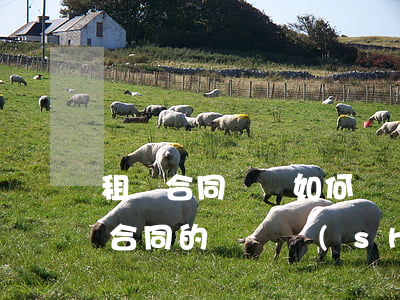 租賃合同糾紛如何訴訟時(shí)效(租賃合同的訴訟時(shí)效是多少年)