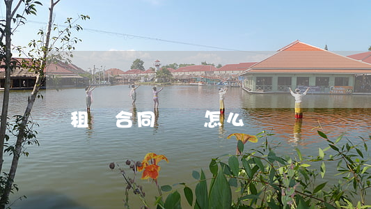 租賃合同糾紛怎么寫