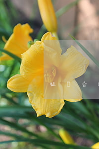 租賃合同糾紛找哪個(gè)部門好