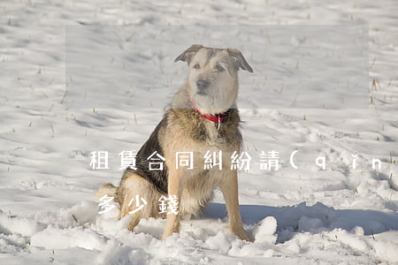 租賃合同糾紛請(qǐng)律師寫律師函多少錢