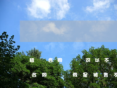 租賃合同訴訟可以不請(qǐng)律師嗎(合同糾紛我是被告不請(qǐng)律師可以嗎)
