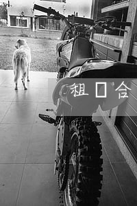 租賃合同逾期是指多久