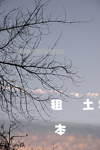 租賃土地合同(租賃土地合同書(shū)樣本)