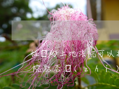 租賃的土地法院可以拍賣嗎(房屋租賃期間法院能否執(zhí)行拍賣)