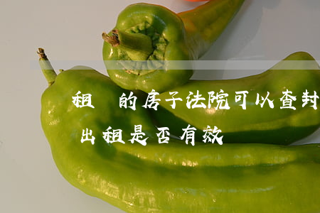 租賃的房子法院可以查封嗎(法院查封期房屋出租是否有效)