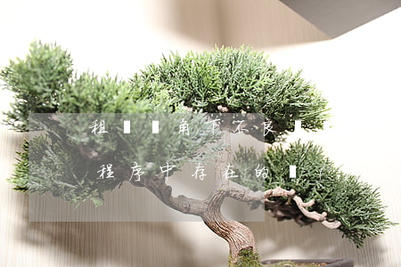 租賃視角下不良資產(chǎn)管理處置程序中存在的風(fēng)險及其建議對策